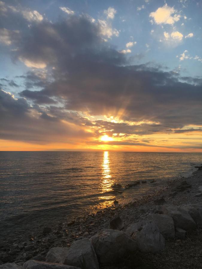 App Rojko Daire Lovrečica Dış mekan fotoğraf